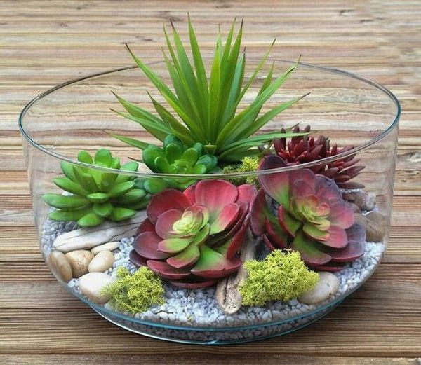 Small garden in a glass bowl – arrangements ideas with succulent plants