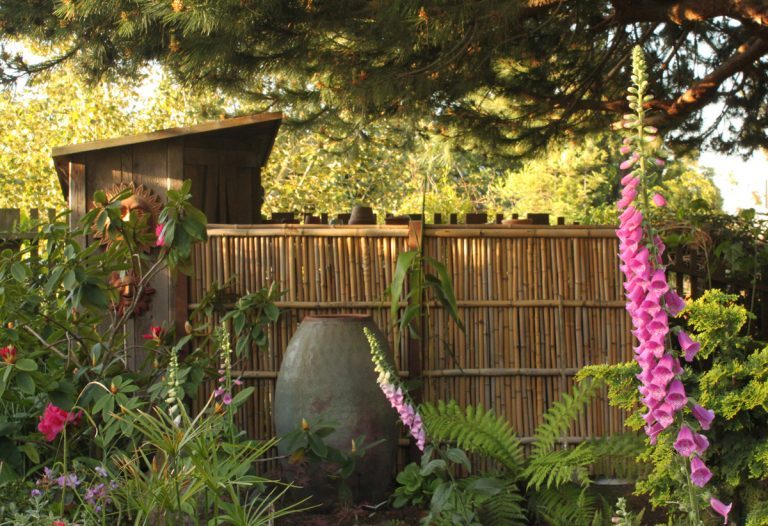 Amazing ideas for bamboo fences to decorate your yard and garden