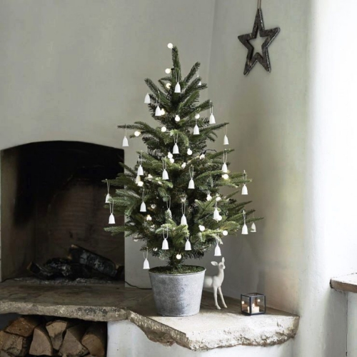 Great ideas to cultivate the Christmas tree in a pot and admire it for many more years