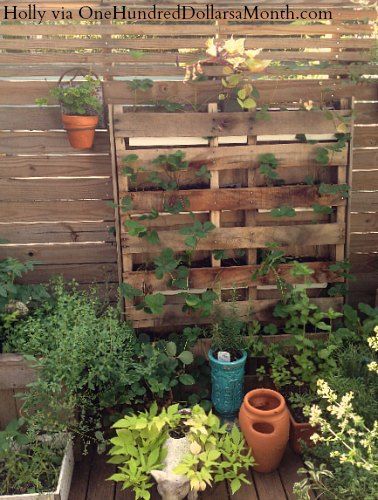 Smart DIY gardening ideas on pallets | My desired home