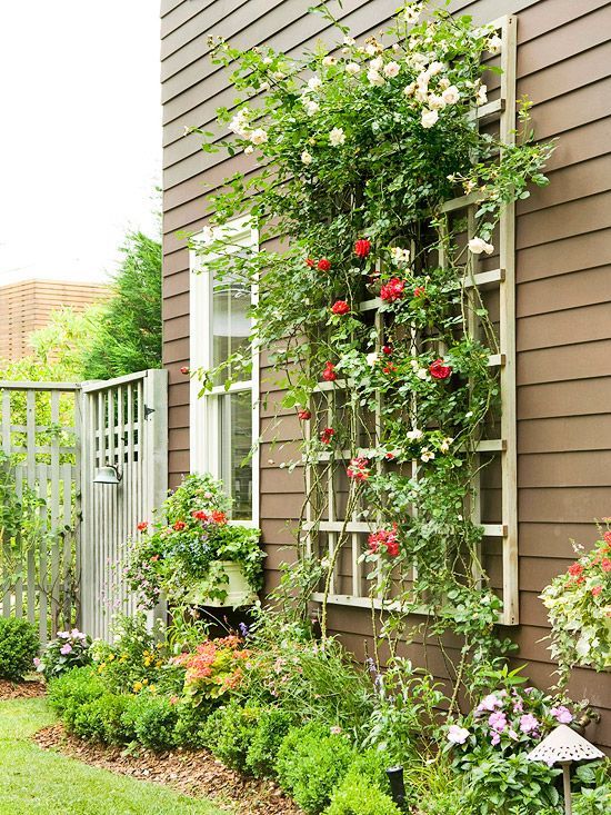 Wonderful DIY Trellises For Climbing Plants | My Desired Home