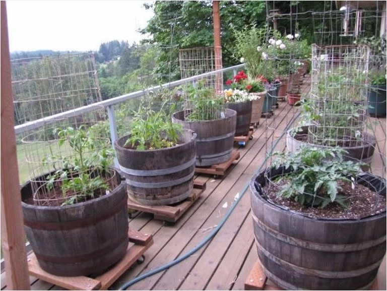 Creative DIY patio ideas for vegetable gardening in pots | My desired home
