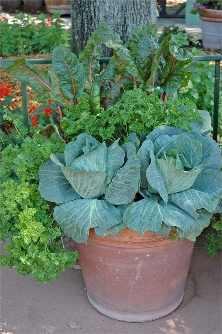 Creative DIY patio ideas for vegetable gardening in pots | My desired home