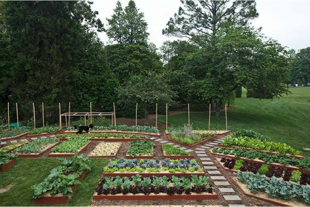 45 Affordable DIY Design Ideas For A Vegetable Garden | My Desired Home