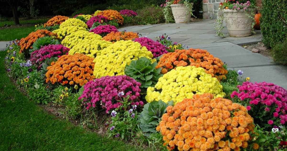 Wonderful DIY flower bed design ideas for a fantastic atmosphere in ...