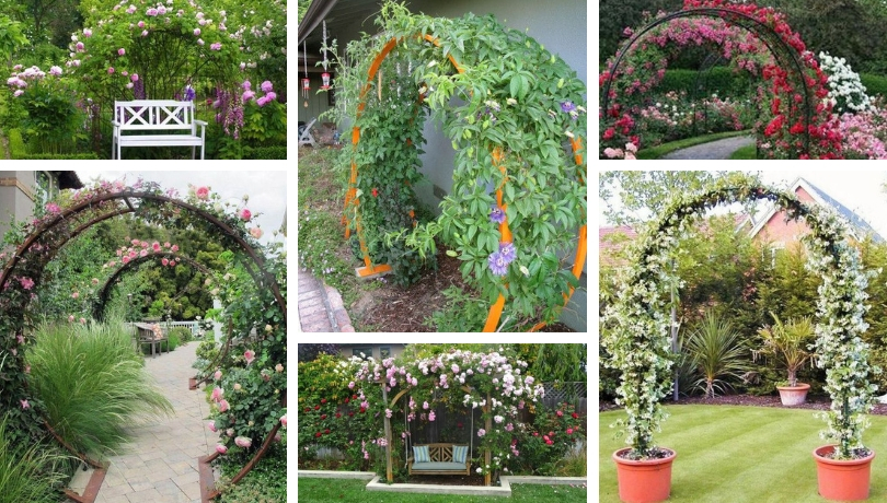Amazing Diy Arches Design 23 Ways To Highlight Your Garden My Desired Home - Arch Decoration Ideas In Home