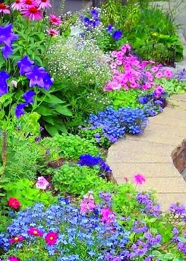 DIY garden flower Curb: 45 Ideas for a Bright Courtyard | My desired home