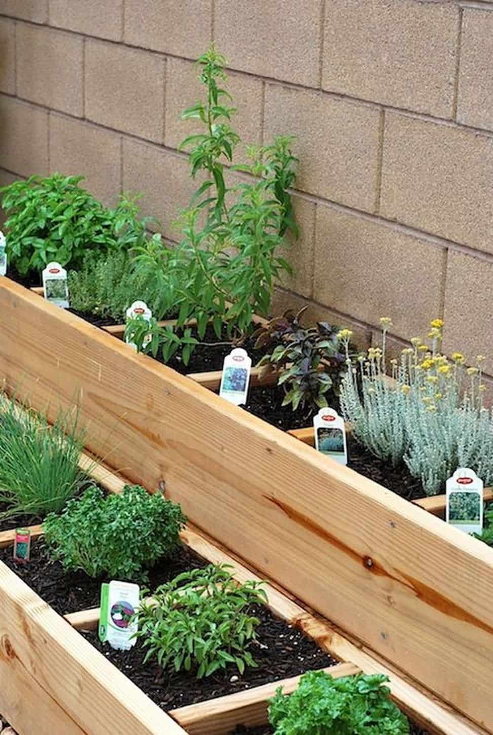 Beautiful DIY ideas for planting your own herbs in your garden or ...