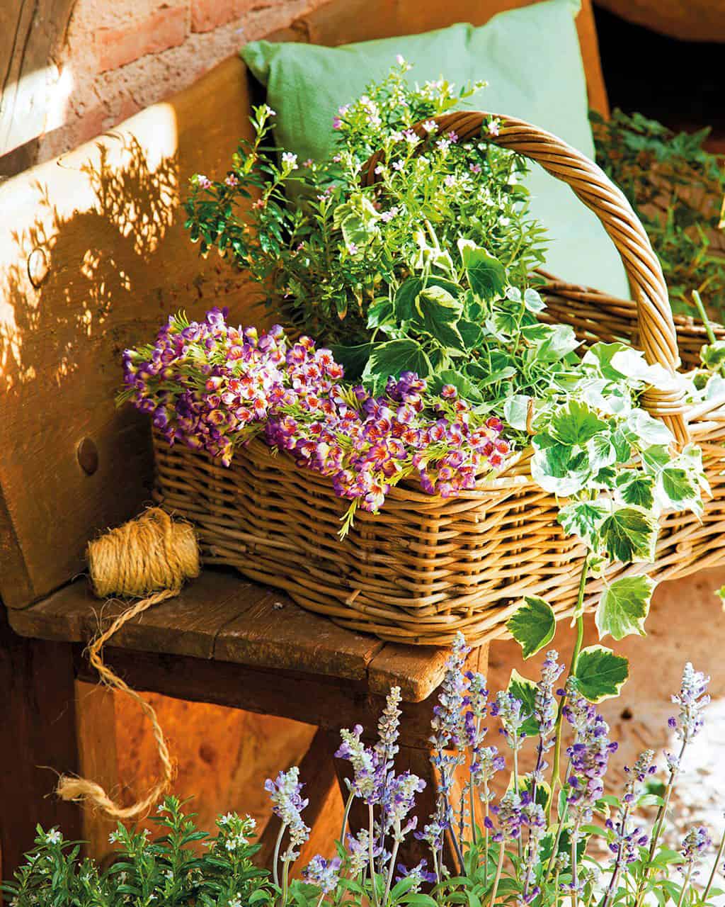How to plant in a wicker basket? Instructions and many inspirations