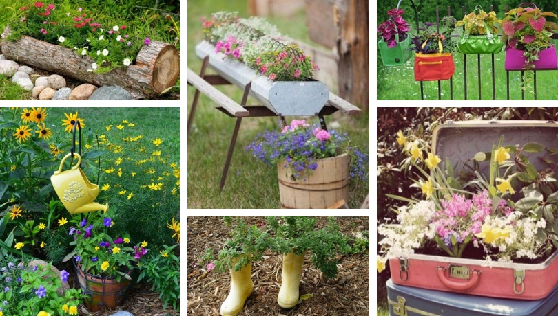 Planting flowers in the most special places - Great DIY ideas and ...