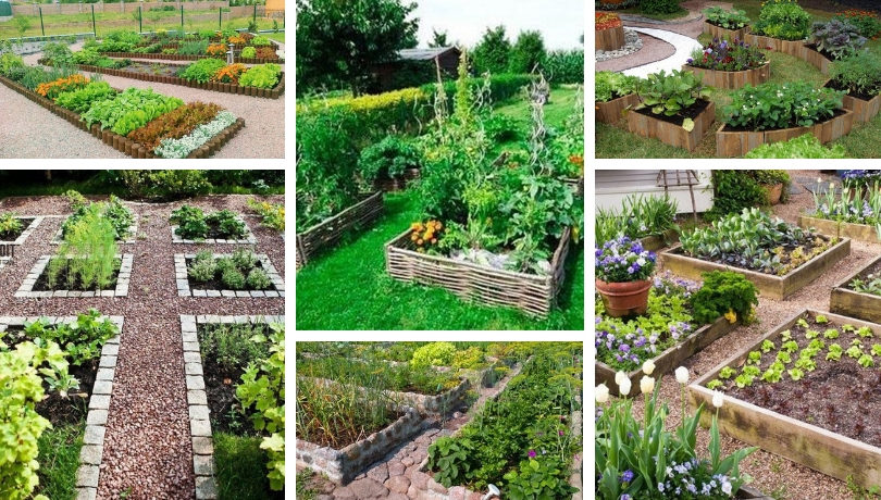 How to beautifully design your garden beds. 60 stunning ideas | My ...