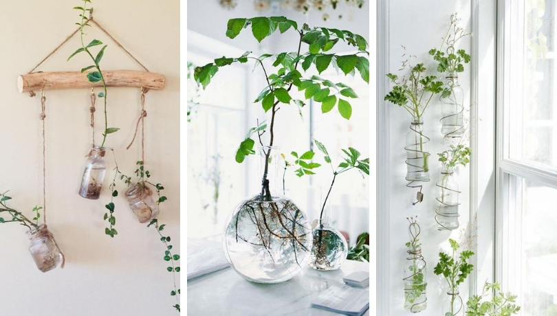 Interior Diy Water Gardens: The Last Trend In Plants 