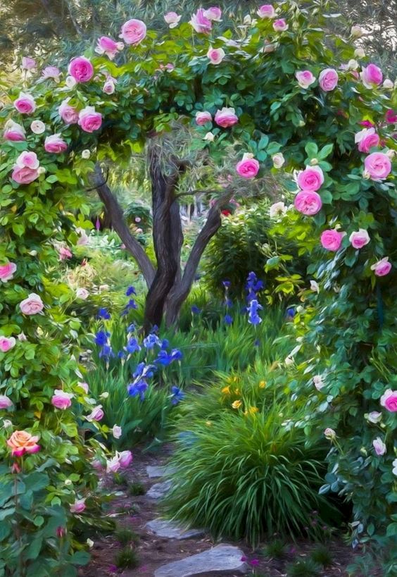 6 Plants that do not cause allergy My desired home