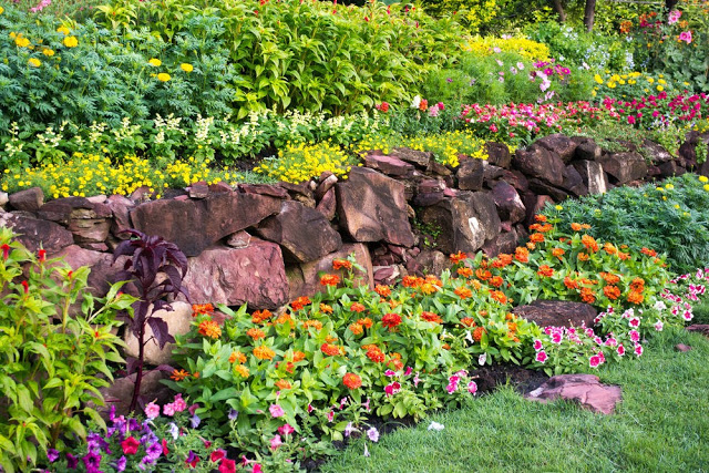 Unlock the Secrets of Stunning Flower Gardens: 50 Colorful Ideas That Will Ignite Your Creativity
