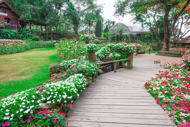 Unlock the Secrets of Stunning Flower Gardens: 50 Colorful Ideas That Will Ignite Your Creativity