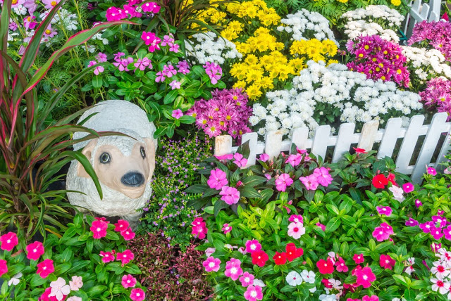 Unlock the Secrets of Stunning Flower Gardens: 50 Colorful Ideas That Will Ignite Your Creativity