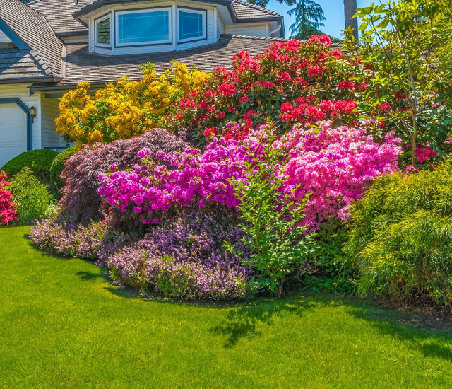 Unlock the Secrets of Stunning Flower Gardens: 50 Colorful Ideas That Will Ignite Your Creativity