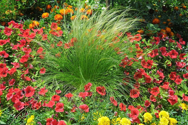 Unlock the Secrets of Stunning Flower Gardens: 50 Colorful Ideas That Will Ignite Your Creativity