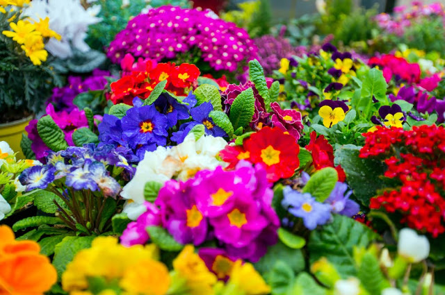 Unlock the Secrets of Stunning Flower Gardens: 50 Colorful Ideas That Will Ignite Your Creativity