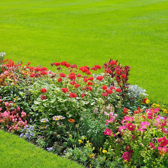 Unlock the Secrets of Stunning Flower Gardens: 50 Colorful Ideas That Will Ignite Your Creativity