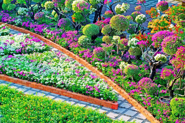 Unlock the Secrets of Stunning Flower Gardens: 50 Colorful Ideas That Will Ignite Your Creativity