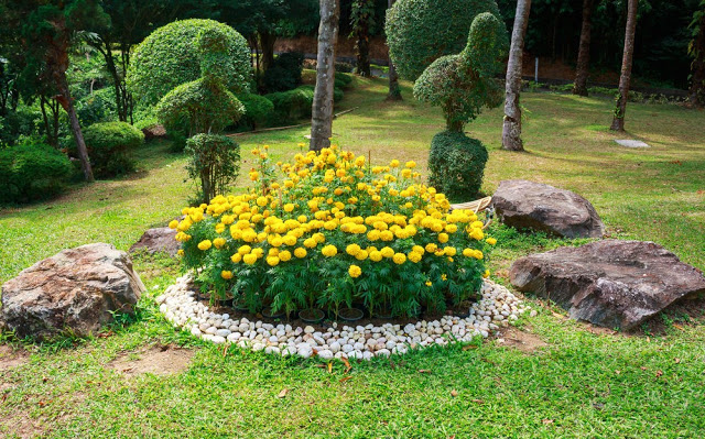 Unlock the Secrets of Stunning Flower Gardens: 50 Colorful Ideas That Will Ignite Your Creativity