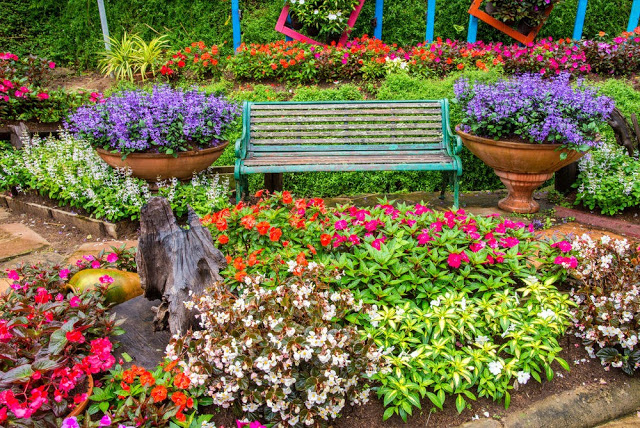 Unlock the Secrets of Stunning Flower Gardens: 50 Colorful Ideas That Will Ignite Your Creativity