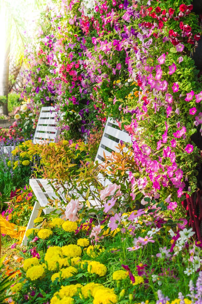Unlock the Secrets of Stunning Flower Gardens: 50 Colorful Ideas That Will Ignite Your Creativity