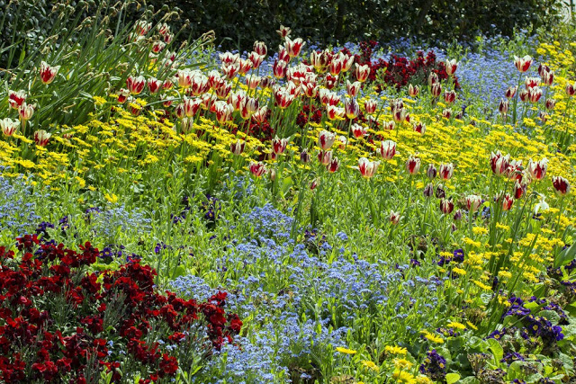 Unlock the Secrets of Stunning Flower Gardens: 50 Colorful Ideas That Will Ignite Your Creativity