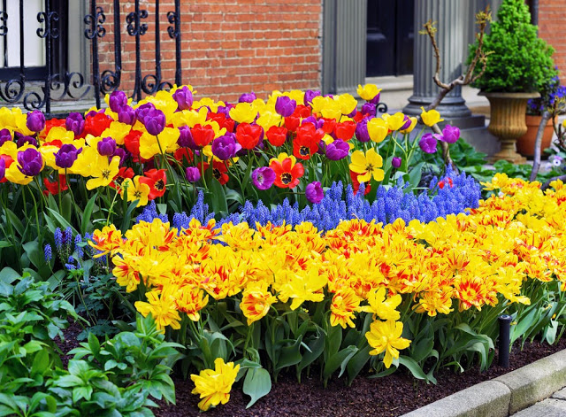 Unlock the Secrets of Stunning Flower Gardens: 50 Colorful Ideas That Will Ignite Your Creativity