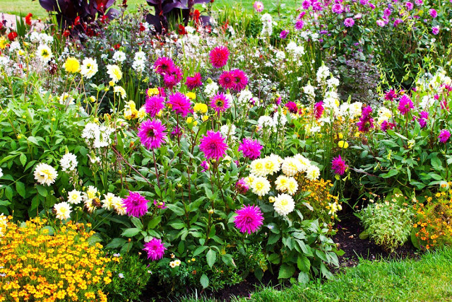 Unlock the Secrets of Stunning Flower Gardens: 50 Colorful Ideas That Will Ignite Your Creativity