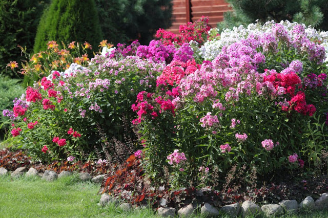 Unlock the Secrets of Stunning Flower Gardens: 50 Colorful Ideas That Will Ignite Your Creativity
