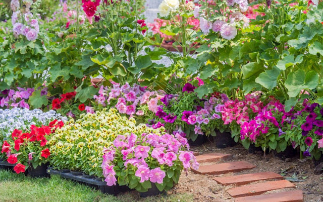 Unlock the Secrets of Stunning Flower Gardens: 50 Colorful Ideas That Will Ignite Your Creativity