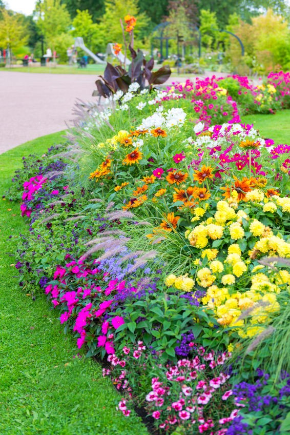 Unlock the Secrets of Stunning Flower Gardens: 50 Colorful Ideas That Will Ignite Your Creativity