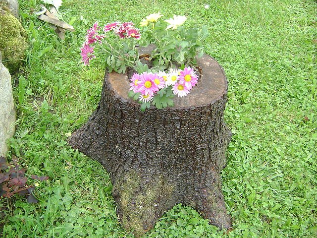 Great Diy Ideas For Your Garden Made From Tree Logs 