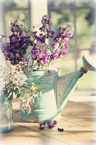 DIY ideas: Amazing Ways to reuse a metal watering can in your home and ...