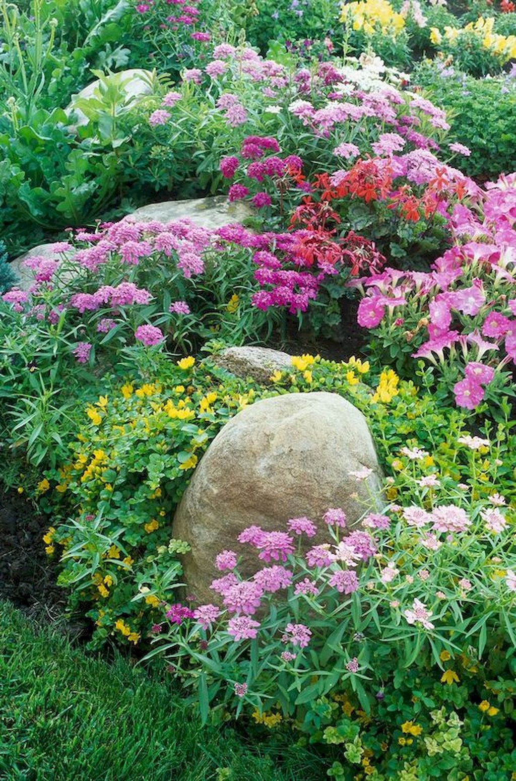 Top ideas of spectacular flower arrangements for the house yard and ...