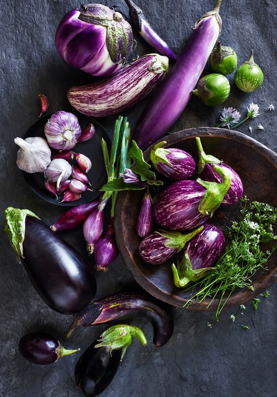 Secrets for growing eggplants in pots and in your garden | My desired home