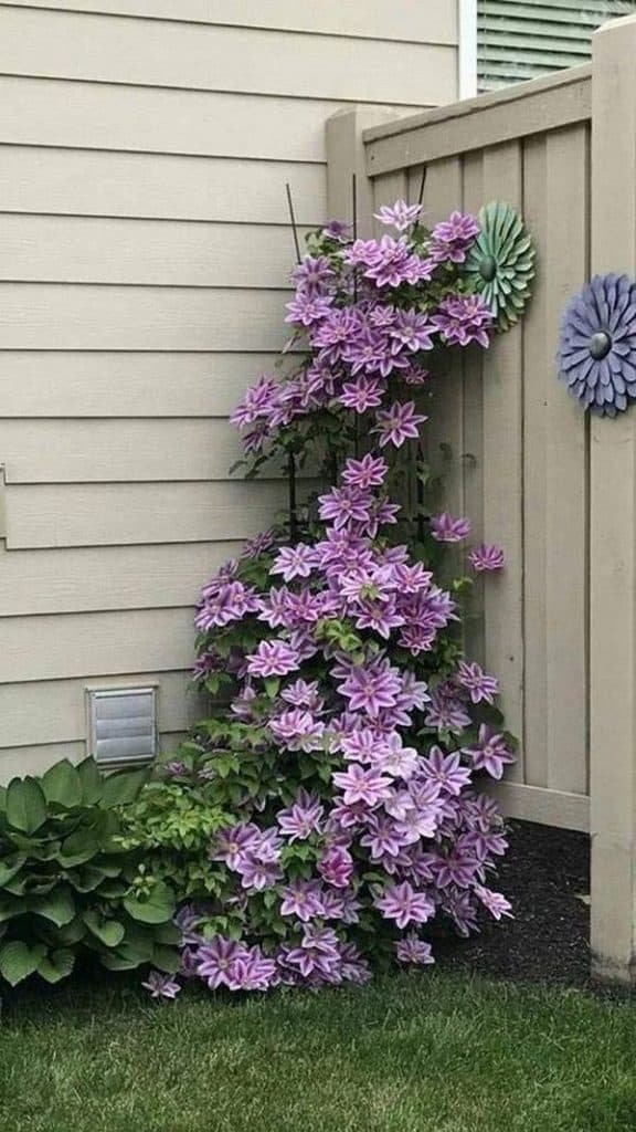 22 Fantastic Garden Decorations For Those Who Love The Purple Color 
