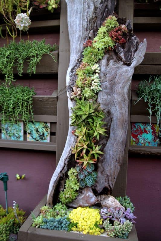 49 Super DIY low budget ideas for decorating your yard and garden