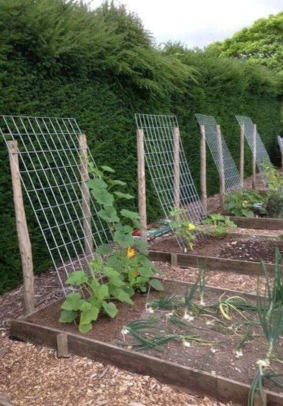 49 Super DIY low budget ideas for decorating your yard and garden