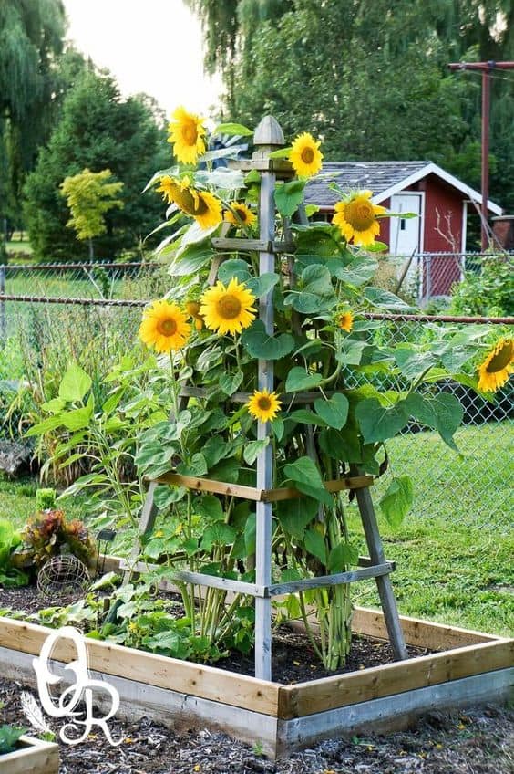 49 Super DIY low budget ideas for decorating your yard and garden