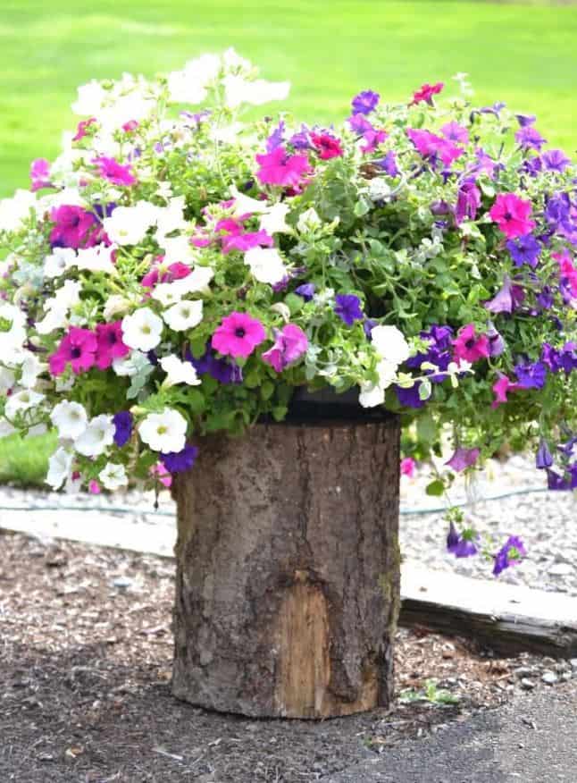 49 Super DIY low budget ideas for decorating your yard and garden