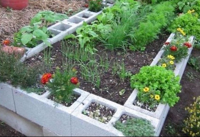 Practical and useful DIY vegetable gardens from building blocks | My ...