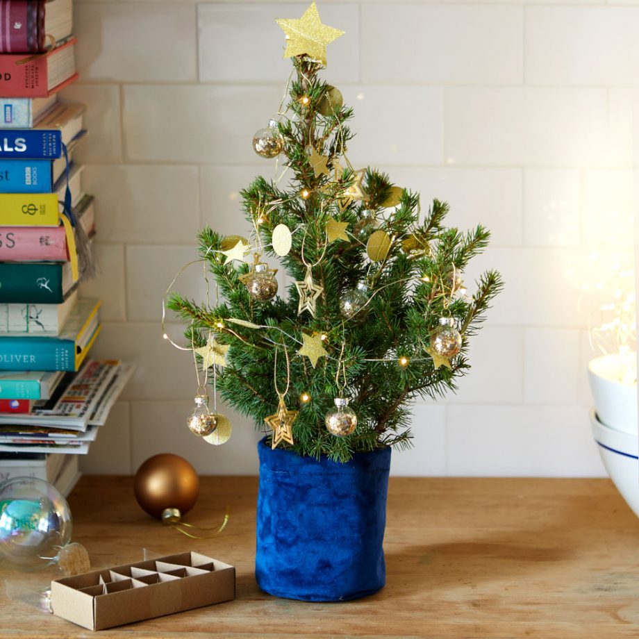 Tiny Christmas trees are back and are big trend | My desired home