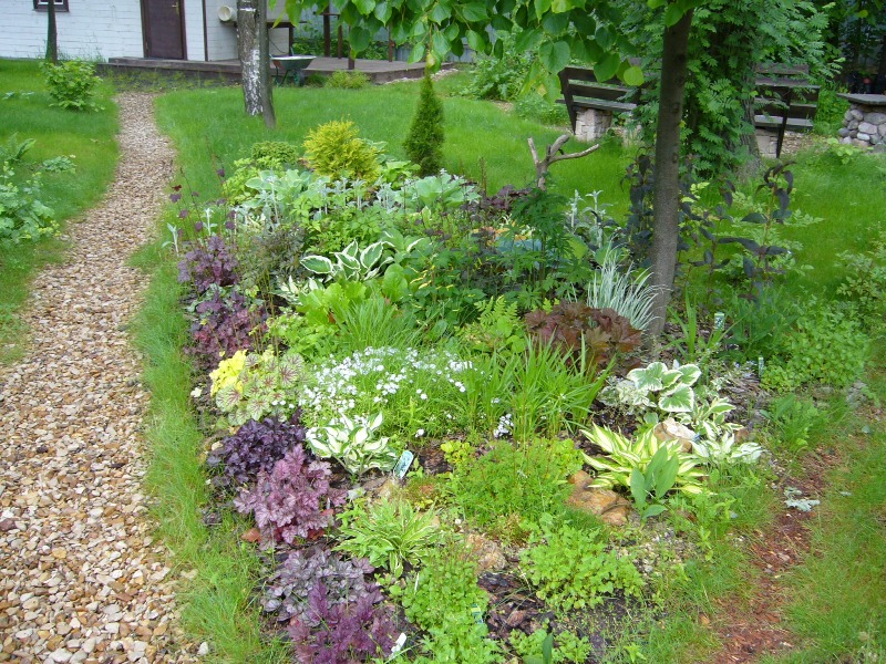 Flower bed designs under trees: 32 juicy options in the shade | My ...