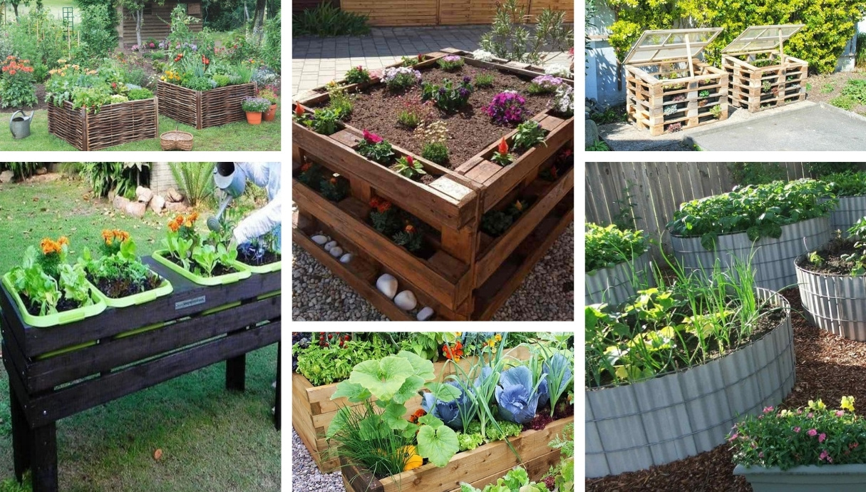 Creative ways to grow vegetables and fruits in the garden: 30 super ...