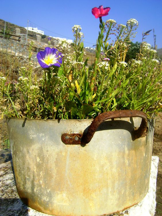 21 Unusual home and garden decorations with old cooking pots My desired home