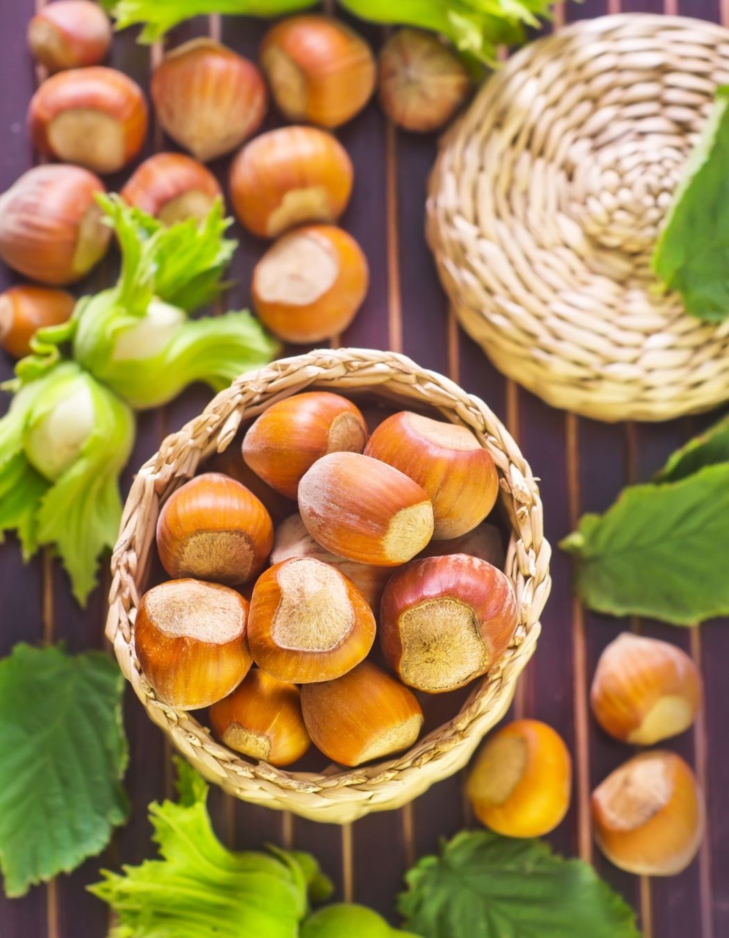11 secrets for growing hazelnuts in your garden My desired home