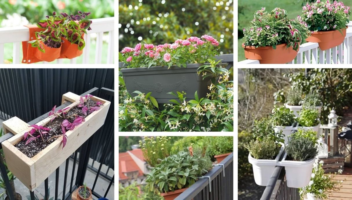 Beautify Your Balcony With Potted Flowers On The Railings - 32 Original 